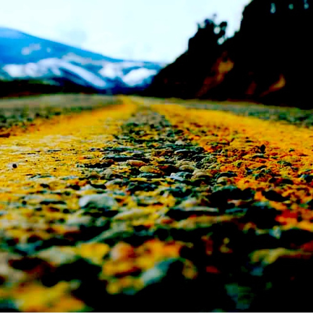 ARTWORK ORIGINAL PHOTOGRAPHS ON CANVAS- Multiple Sizes -